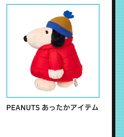 ピックアップアイテム04